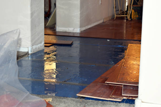 Professional Water Damage Restoration technician working in Waterford, CT